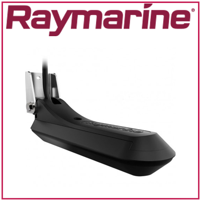 Sonde tableau RAYMARINE